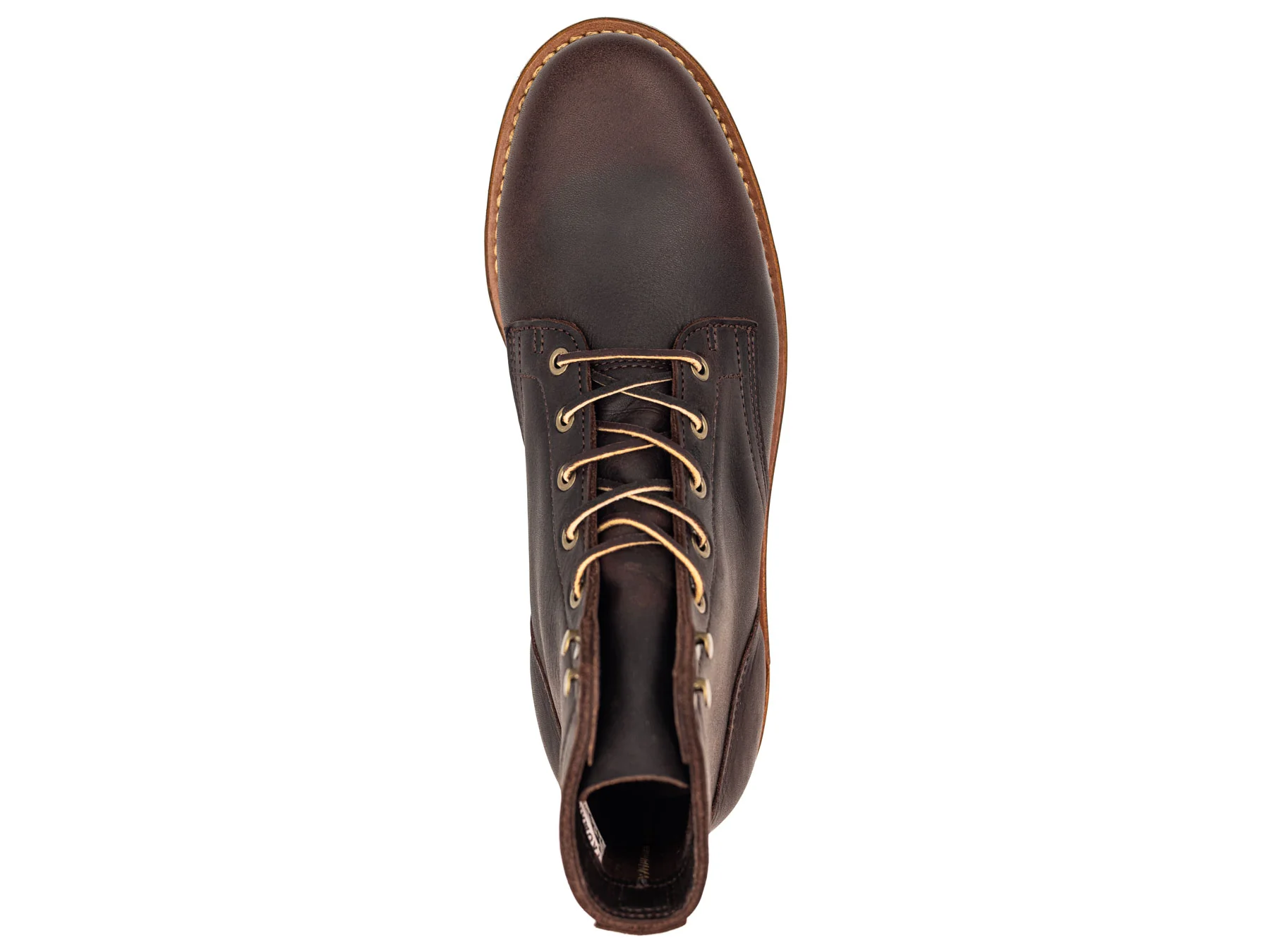 Eastern Brown Snakebite | Plain Toe - Image 6