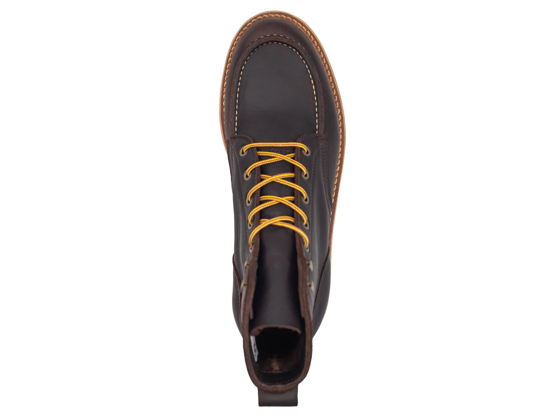 Eastern Brown Snakebite | Moc Toe - Image 6
